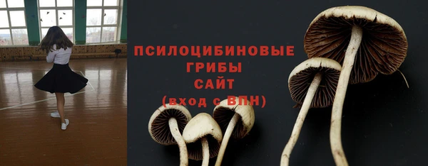 ECSTASY Балахна